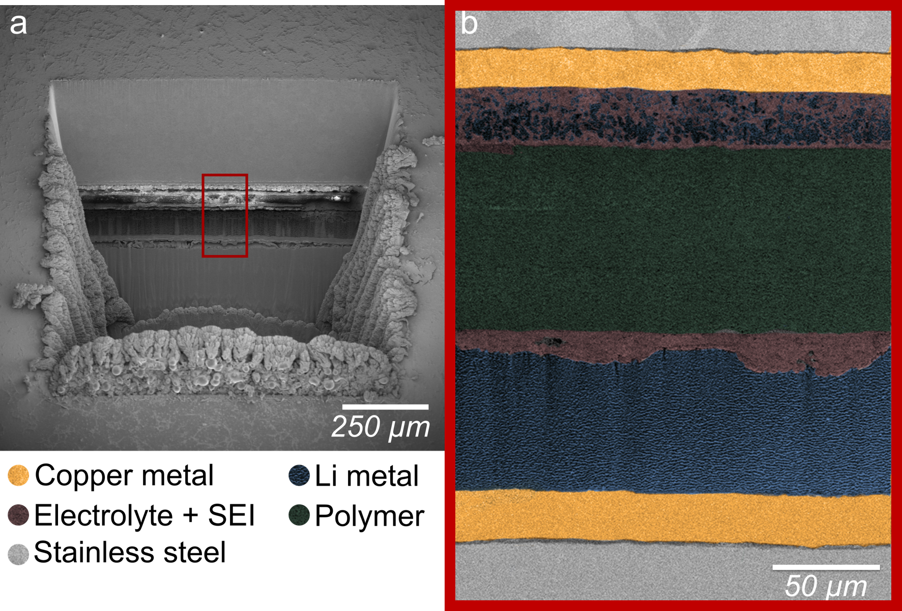 Comparison of UPL-prepared SEM and MicroCT characterizations on the same representative ROI in identically prepared half coin cells with concentrated bisalt electrolyte cycled to 100.5 cycles at low rate. a) Overview of a cryo-SEM SE cross-section image collected at 5 kV, 0.69 nA of a ~1 x 0.9 x 0.7 mm region in a coin cell battery removed with UPL ablation, where the ROI is marked with a red box. b) Higher magnification cryo-SEM BSE image of the ROI collected at 2 kV, 0.69 nA.